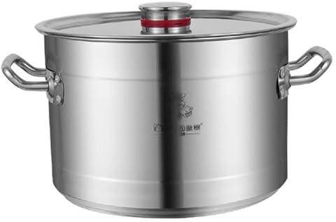 THEGA Grande Marmite avec Couvercle - Marmite, Restauration Commerciale, Marmite Domestique en Acier Inoxydable Épais, avec Couvercle, pour Cuisinière À Gaz, Cuisinière À Induction (10-30L)(10L)