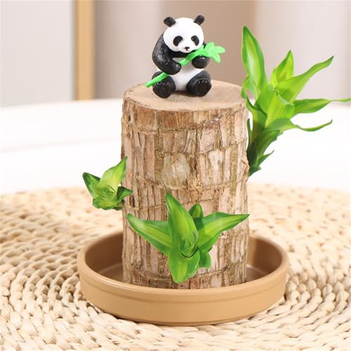 Brasilien-Glücksholz mit Topf und Figur,brasilianische Glücksholzpflanze,Holzpflanze mit Mönchsstatuen Desktop Pflanze Brazilian Wood Plant Pflanzenstumpf (Quadrat + Panda,7 cm)