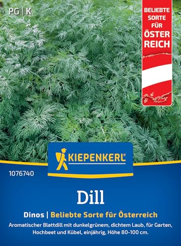 Kiepenkerl Dillsamen Dinos 1076740, Kräutersaat | Aromatische Kräutersamen für Garten & Balkon, Kräuter, Dillsaat, ertragreich