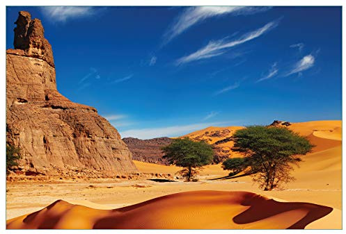 Wallario Küchenrückwand selbstklebend 90 x 60 cm, Motiv: In der Wüste Sahara | Spritzschutz abwischbar & pflegeleicht