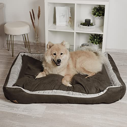 ne&no® Hundebett 2 in 1 [Kühlender und Wärmender Stoff] | Mittelgroße Hunde | Waschbar 80x60 | Bettchen Mittel | Hundekörbchen