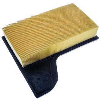 DENCKERMANN Luftfilter A146962 | A146962 Kompatibel mit Mustang Convertible,mustang Coupe