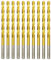 Titan HSS Metallbohrer 4.0mm x 75mm x 10pcs Professional Geschliffen Kobalt Spiralbohrer fur Edelstahl und Metall