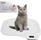 BORDEAG Balance pour Animaux, 15 Kg (± 1 G) Balance Numérique pour Animaux, Pèse-Personne Numérique, Mini Balance Numériques, Balance pour Chat, Balance pour Chien, pour Chaton, Chiot, Hamster