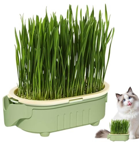 Hydroponic Cat Grass Pot - Indoor Cat Grass Hydroponic Plantings Pot | Soil-Frees Planter for Pet Snacks | Beginner-Friendly Plants for Home, Balcony (Green)