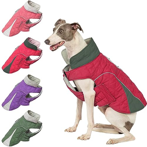 Huntboo Hundemantel, Hundemantel Grosse Hunde, Hundemantel Wasserdicht, Hundejacke Winter, Wintermantel Hund, Winddicht und mit Reflektierenden Streifen, Bleiben Sie Warm und Sichtbar (Rot,2XL