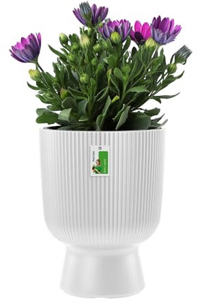 PAFEN – Pot en Polypropylène 41L sur Pied Unique – 38x50 cm – Cache-Pot en Forme de Calice pour Intérieur, Jardin ou Balcon, Blanc