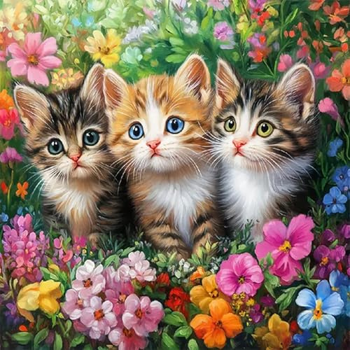HEIBAGO Chat Fleur Peinture par Numéros pour Adulte, DIY Peinture Acrylique Kit de Peintures à l'huile sur Toile par Numéro Huile Peintures à la Main avec Pinceaux Kits Artisanat 30x30cm
