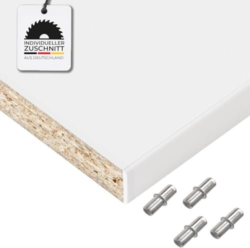 Hausfux Einlegeboden, Regalboden nach Maß - 1,9 cm Starke Spanplatte, melaminbeschichtet, einseitige ABS-Kante - Made in Germany - Maßanfertigung - für Möbelbau (ICY White, 60 x 40 cm)