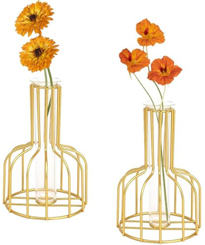 Blumenvase mit Metallrahmen 2 Stück, Klares Glas, Reagenzglas, dekorativ, Kleine Knospenvasen, Geschenke für Hochzeitsdekoration Tischblumendekoration, Innendekoration Wohnzimmerdekoration (Gold)