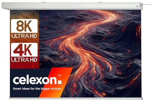 celexon Pantalla motorizada Cine en casa y presentación- proyector- eléctrica Montaje Pared o Techo Motor Expert -200 x 125 cm - 16:10-95 Pulgadas