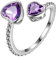 Aurora Tears Februar Birthstone Love Heart verstellbare Ringe 925 Sterling Silber Doppelherz Birth Stone Schmuck für Frauen und Männer DR0109F