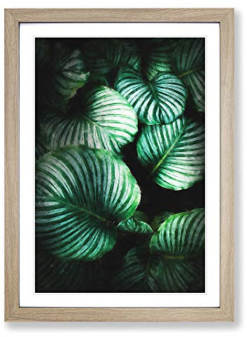 Gathered Green Plant Leaves Painting Framed Print | A2 Oak Framed Wall Art | Ready to Hang | Modern Floral Picture | Living Room Bedroom Lounge Office