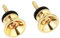 Banworks Gitarrengurtknöpfe, Metall-Endstifte mit Befestigungsschrauben für akustische/elektrische Strat-Tele-Gitarren, 2 Stück JT/BDK-01, golden