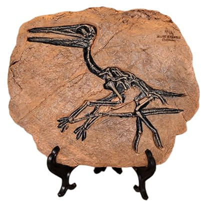 OAJABBGE Handcrafts Dinosaurier Fossilien Modell Simuliertes Dinosaurier Skelett Kunstharz Statue Figur Für Heimdekorationen Und Pädagogische Zwecke