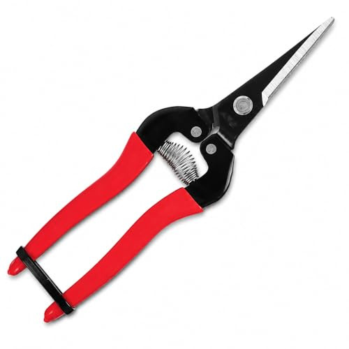 ARS Fruit Picking Shears - 190mm | Garden Scissors for Fruit Picking, Great Garden Tool with Straight Blade, Precision Clippers with Non-Slip Grip | Red Handle