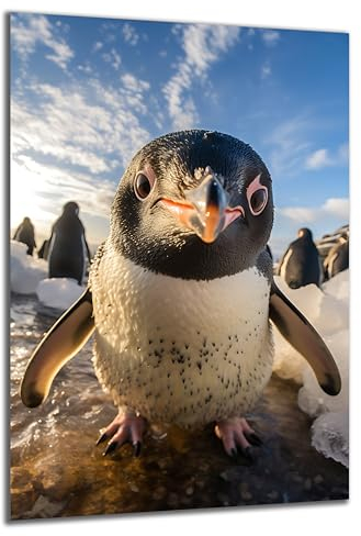 DARO Design - Wand-Bild auf 6mm HDF 30x20 cm Pinguin Portrait - Wand-Deko Bilder Geschenk