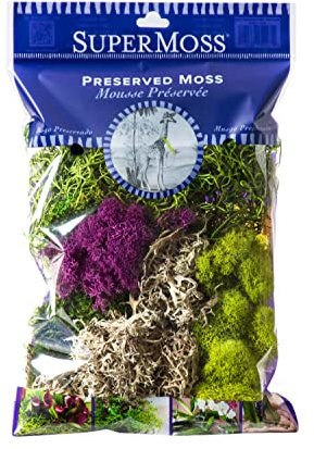 Supermoss 100533147 23311 Elegant Decoration, Mixed 120 c, Multicoloured Moss Plant, White