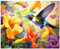 Xobers art Peinture Numero Adulte Animaux, Colibri Peinture par Numero Adulte, Peinture Numero, Kits de Peinture au Numéro pour Décoration Maison et Cadeau 40x50 cm