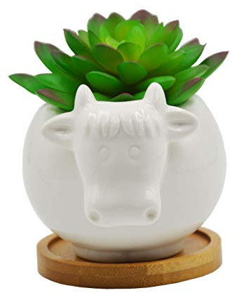Cuteforyou Pot de fleurs en céramique en forme d'animal mignon avec plateau en bambou – Plante non incluse (vache)