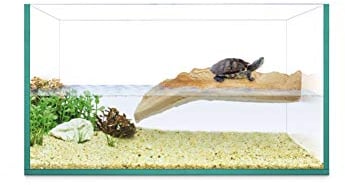 ICA Tortuguera AAS30 Isola di REPTI Giungla con Solarium, Coperchio in Vetro e Tappetino Protettivo, 30 x 15 x 18 cm