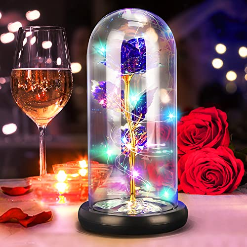 DASIAUTOEM Rose Eternelle sous Cloche, Cadeau pour Saint Valentin, Rose Belle et La Bete, Rose en Verre Fleur Eternelle Rose Dôme en Verre Fleur Artificielle, Original Cadeau Femme Copine Anniversaire