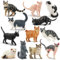 EYSCOTA Cat Toys Figurine Set, 12PCSRealistic Cat Cake Toppers Kitten Toys, Christmas Birthday Gift for Kids 3-5 Toddlers