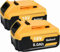 2 Pack Battery for Dewalt XR 8000mAh Replacement DCB184 DCB200 DCB180 DCB182 DCB101 DCB107 DCB112 DCB105 DCB115 DCB203 Applicable to Cordless Power Tools Batteries with LED Indicator