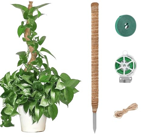 120 cm Moosstab für Monstera, Rankhilfe und Pflanzstab für Kletterpflanzen im Innenbereich mit Zubehör: Klettband, Selbstschneidender Kabelbinder und Fixierseil