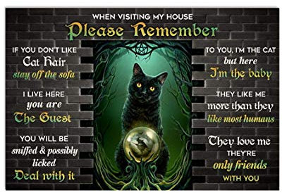 Inga Black Cat When Visiting My House Please Remember Poster Vintage Wall Decor Metal Sign Plaque Poster 8X12 inch