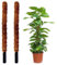 Jardinlife Tutor Fibra de Coco Natural para Plantas Trepadoras y Enredaderas, Guía para Las Raíces (Pack 2 unds 150 cm)