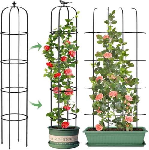 LATERN 1 Pezzi Traliccio da Giardino a Forma di Obelisco per Piante Rampicanti, 180CM Alto Struttura per Traliccio per Piante Rampicanti in Metallo per Vasi Pianta Rosa Pomodoro Cetriolo Fiori Pisello