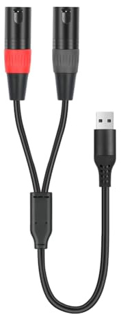 Ehwisbe Câble Audio USB vers XLR USB A vers Double XLR Mâle Câble USB vers Audio Stéréo 100 cm