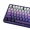 Womier Double Shot PBT Keycaps Set, Shine Through 60% 75%, Cherry Profile, Gradient Purple, Side Printed for Mechanical Gaming Keyboards (136 Keys)