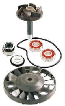 KIT REVISIONE POMPA ACQUA PIAGGIO HEXAGON GTX 125/180 100110070