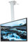 TV Wall Mount TV Stand,Height Adjustable Motorized Ceiling TV Mount,Electric TV Lift Left And Right Hole Spacing Adjustment,Remote Control And Switch Dual Control (Color : A, Size : 100Cm) (A 100cm)