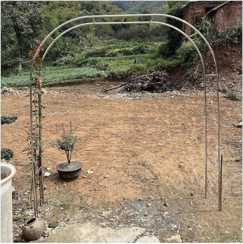 Gartenbogen Pergola Edelstahl Dekoration für den Außenbereich