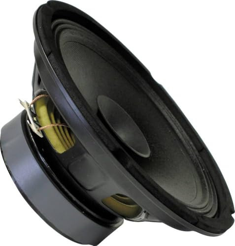 PA Bass Guitar Speaker 250 mm, 100 Watt, 8 Ohm