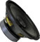 PA Bass Guitar Speaker 250 mm, 100 Watt, 8 Ohm