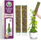 DUSPRO D-Shaped Plastic Moss Poles for Climbing Plants - Stackable Monstera Plant Pole, Handmade Stick for Indoor Plants to Grow Upward - 2 Pack, 16.5 Inches
