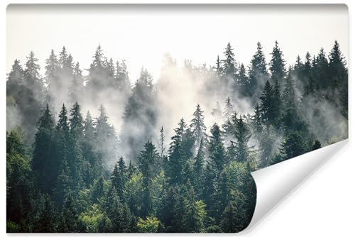 Muralo Fototapete Vlies 3D, Wald im Nebel, Kunstdruck - 208x146 cm
