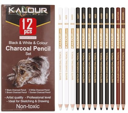 VINSPIRE 12-Piece Mixed Charcoal Pencils Set - Black, White, and Colored Charcoal Pencils for Sketching, Shading, and Portrait Drawing, Art Supplies for Beginners and Professionals
