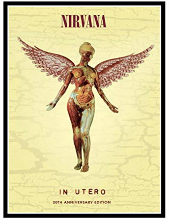 Swarouskll Nirvana In Utero Wandkunst Poster Leinwand Malerei Home Schlafzimmer Dekor Bilder Druck auf Leinwand -50X70cm No Frame 1 PCS