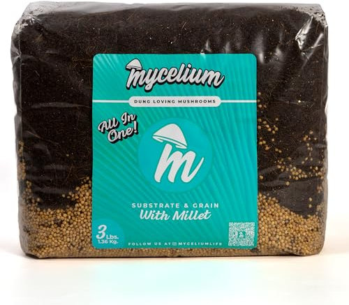 Mycelium 's Superior Substrat de champignons et mélange de grains de millet – Formule tout-en-un de qualité supérieure de 1,4 kg en fibre de coco, vermiculite et gypse pour la croissance des