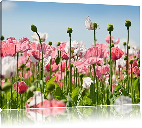 Pixxprint Blumenwiese Mohnblumen, Größe: 60x40cm, Leinwandbild, fertig gespannt, Wandbild, Dekoration, Kunstdruck, kein Poster