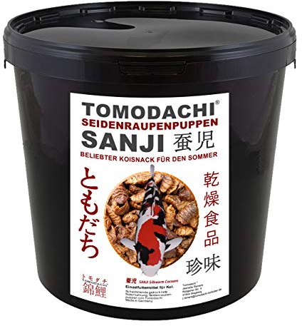 Seidenraupenpuppen, Silkworm, Naturnahrung getrocknet, Tomodachi Sanji Seidenraupen, beliebt, proteinreich, gesunder Koisnack für die Handfütterung im Sommer - Vitale, schöne, handzahme Koi 3L Eimer