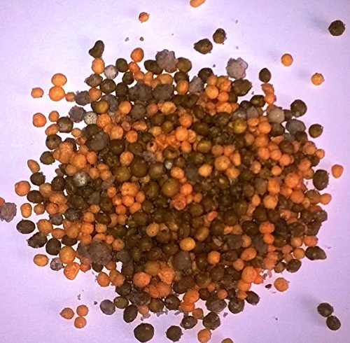 Slow Release Fertiliser for Conifers and Evergreens 12 months Supply - 900 grams