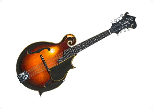 John Paul Jones’ Lloyd Loar Gibson F-5 Mandolin POSTER PRINT A1 size