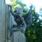 Romeeton Gargoyle Hanger Home Wall Art Hanging Resin Ornaments Gothic Climbing Outdoor Fence Topper Garden Decoration