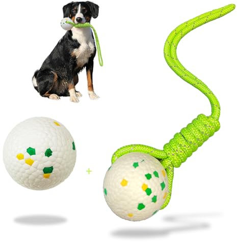 JWTEEE [2 Stück] Robuster ETPU Hundeball – Interaktives Hundespielzeug Ball, Wasserspielzeug für Hunde, Tennisball-Ersatz für Große, Mittelgroße & Kleine Hunde – Welpenspielzeug Outdoor & Indoor